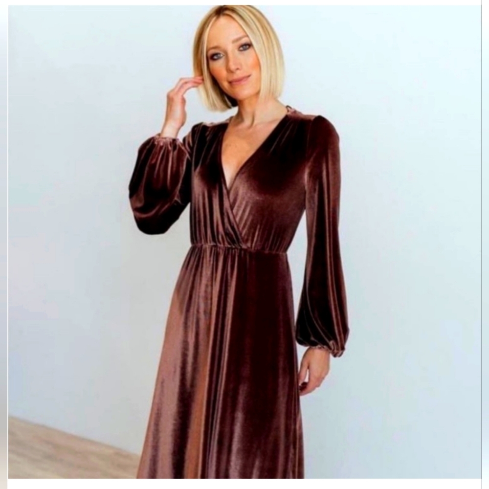 NWT Baltic Born Dusty Plum Sadie Velvet Maxi Dress - never worn - L